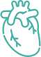 Cardiovascular