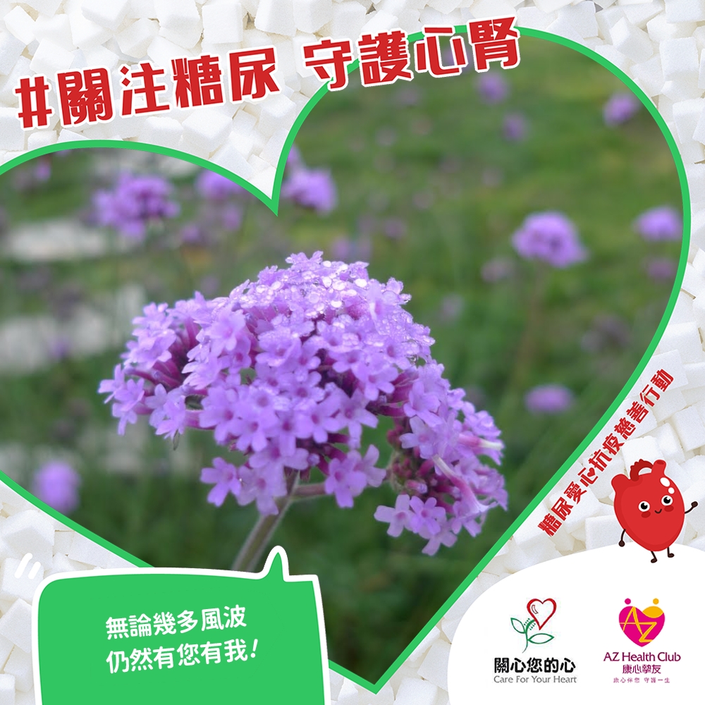 公眾熱心支持
