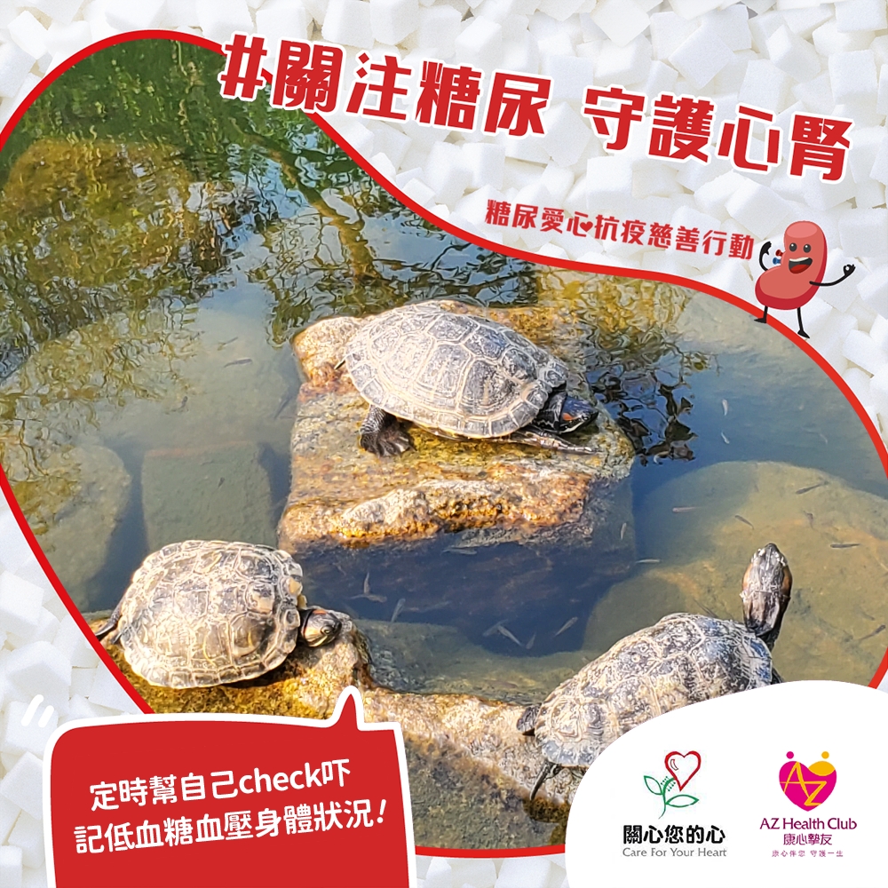 公眾熱心支持
