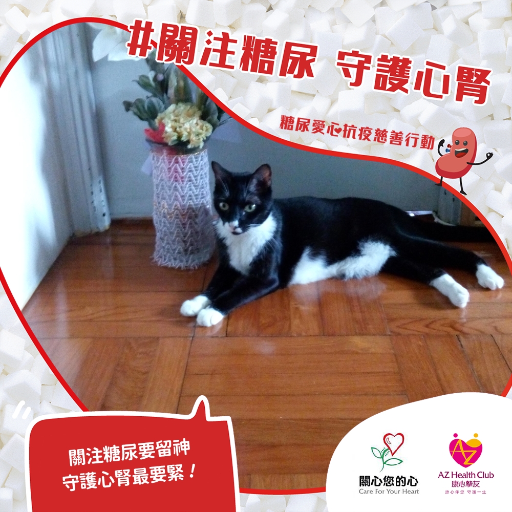 公眾熱心支持
