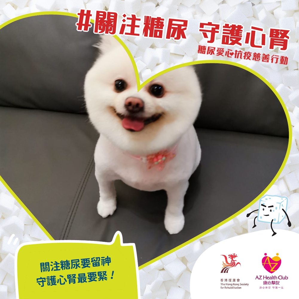 公眾熱心支持