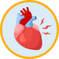 心脏